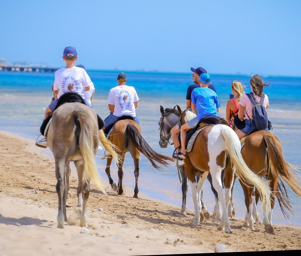 Beach horse riding along the Red Sea coast