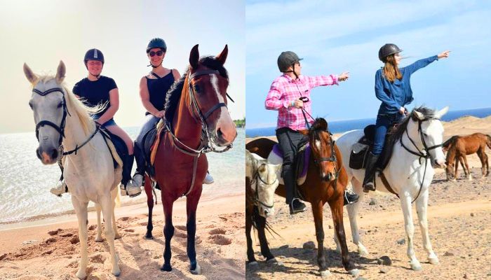 Swimming and beach horse riding combo