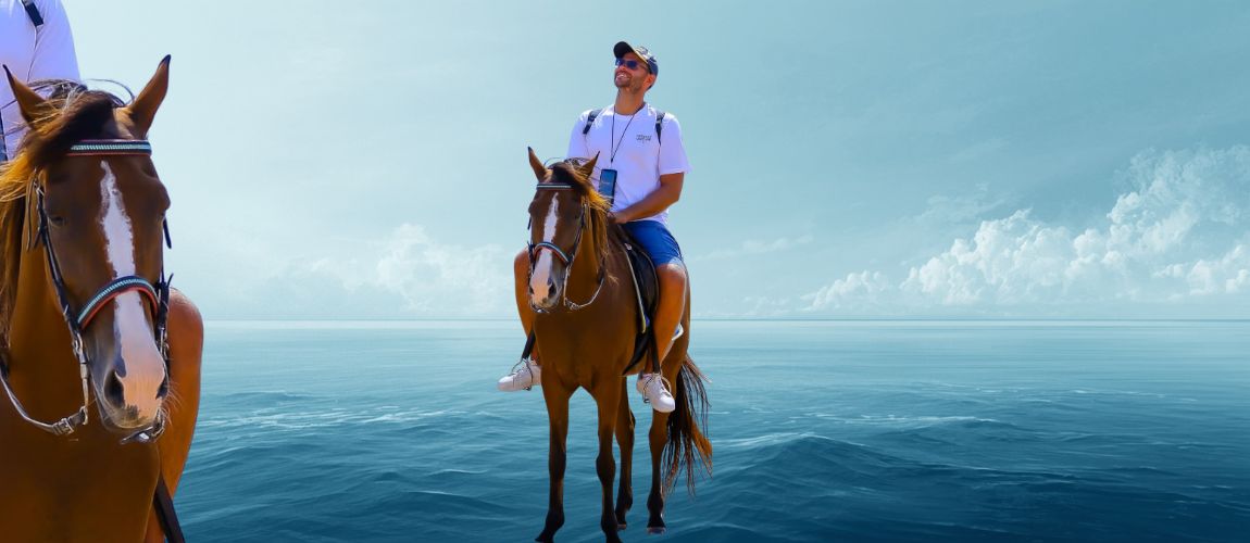 Princess - elegant mare